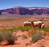 Vie rurale des Navajos, Monument Valley